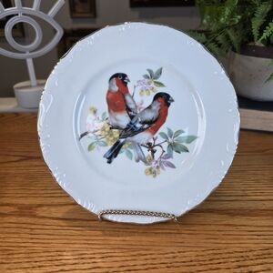 Vintage Japanese Porcelain 7.5" Bird Plate - Red Breasted Songbirds Gold Rim
